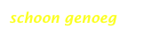 schoon genoeg
